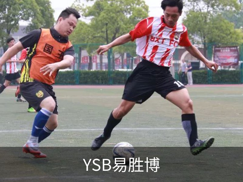 走进YSB易胜博